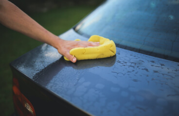 Meticulous Vehicle Examination